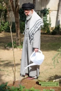 درختکاری 1